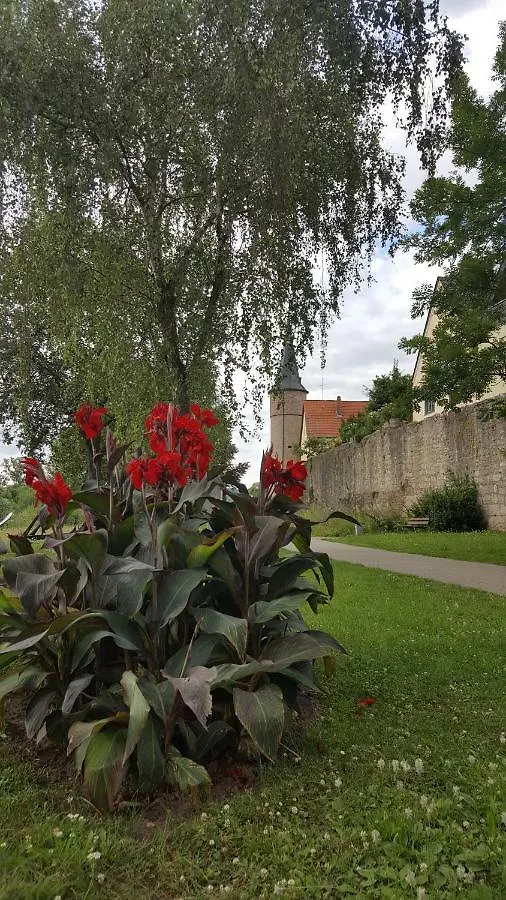 Direkt Am Main Villa Karlstadt Holiday home
